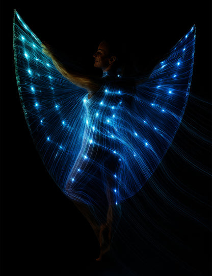 Cape Iris se stonky a světlem 140 cm