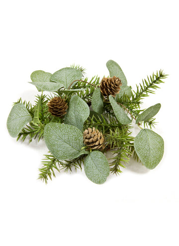 Středová část eukalyptu, jedle a borovice 20 cm