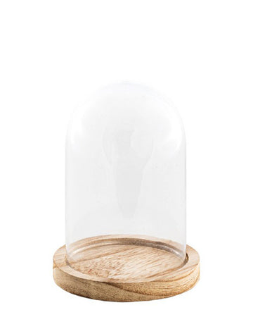 Skleněná zvonová poklop na dřevěném stojanu, 13,7 cm