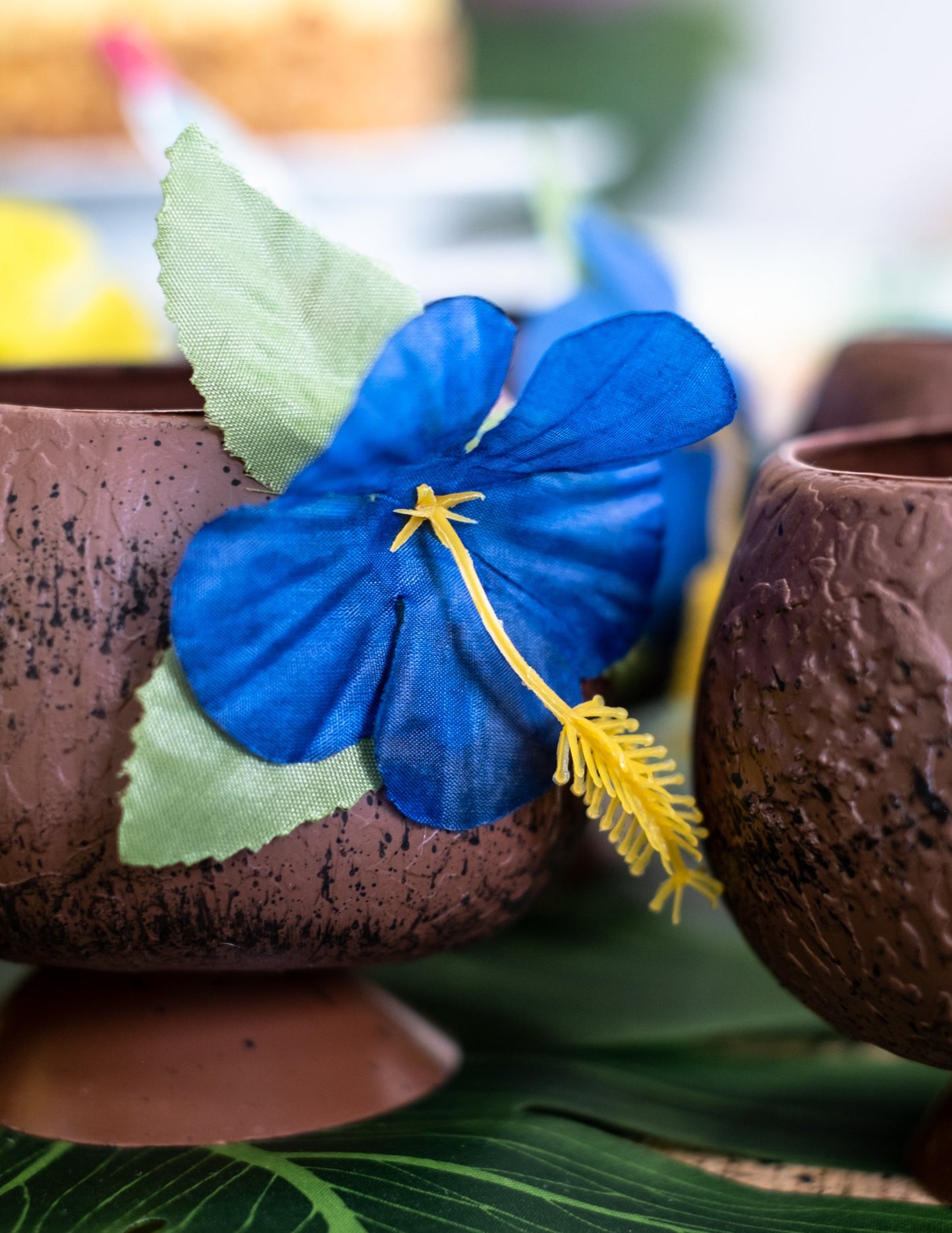 Detail modré květiny z tropické kokosové misky Havaj