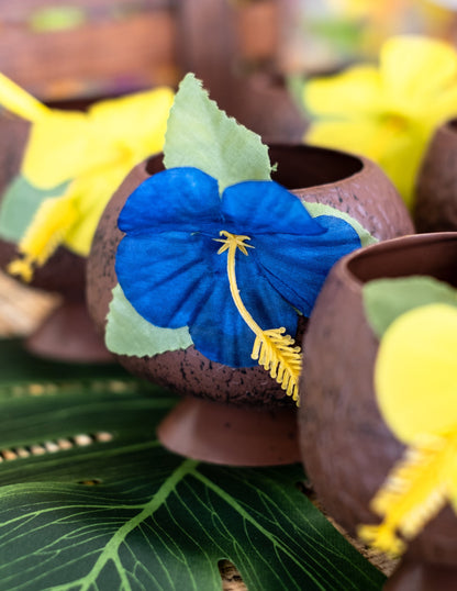 Detailní záběr na modrou květinu z tropické kokosové misky Havaj