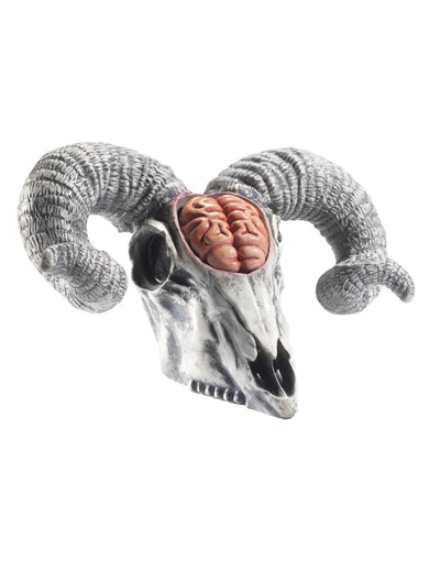 Crâne de bélier avec cervelle apparente pour adulte blanc et gris avec cerveau rose