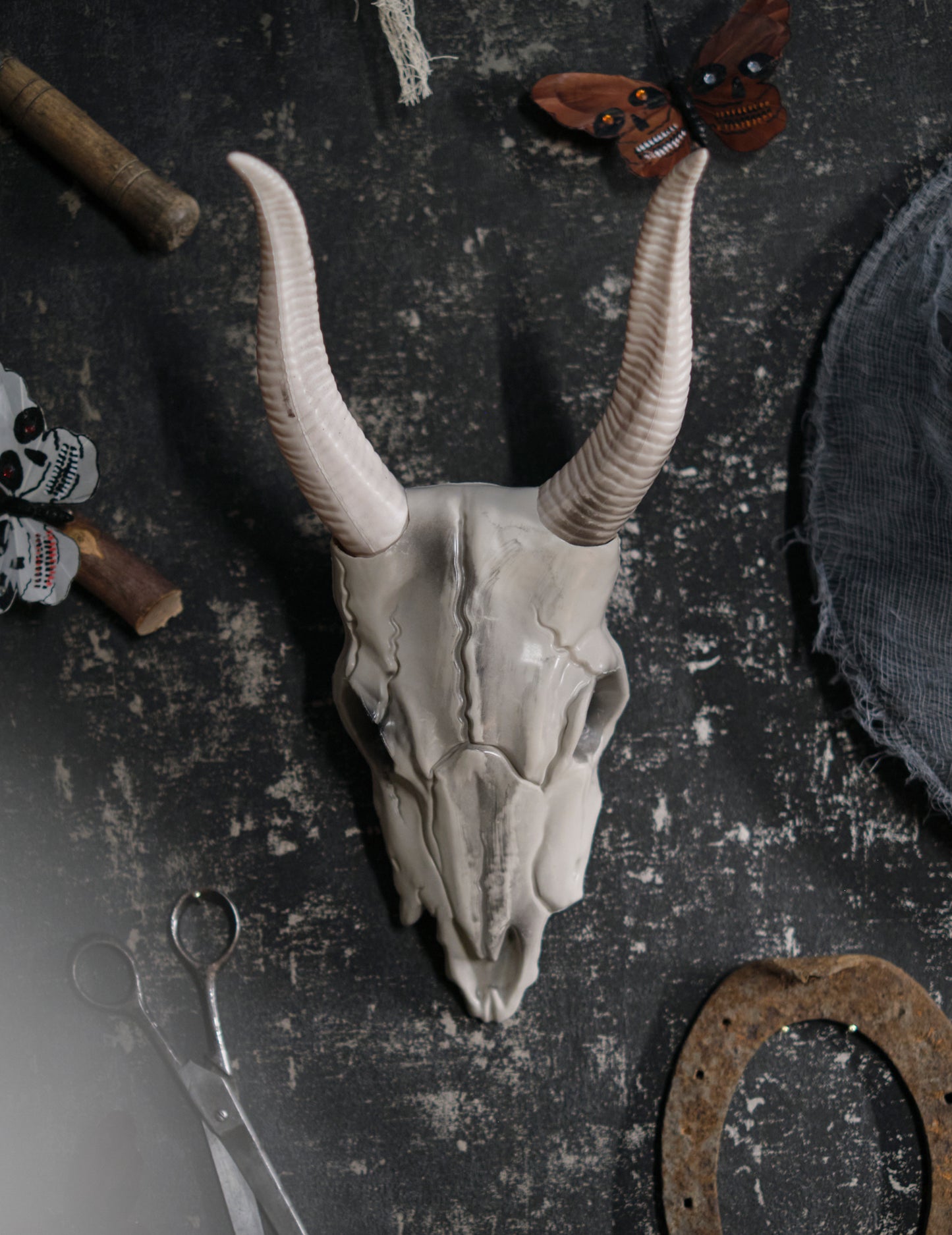 Lebka buvolí hlavy 14 x 40 cm