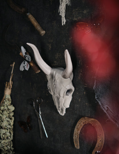 Vue de profil du crâne tête de buffle pour décoration
