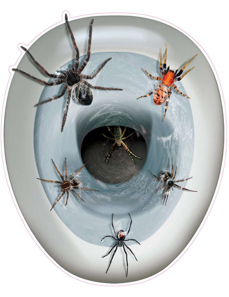 Décoration autocollante pour wc Araignées pour Halloween multicolore réaliste