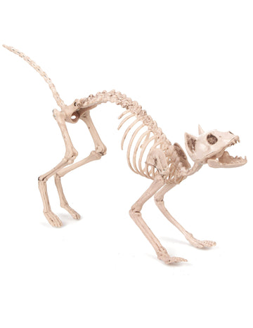 Halloweenská dekorace s kočkou kostlivcem