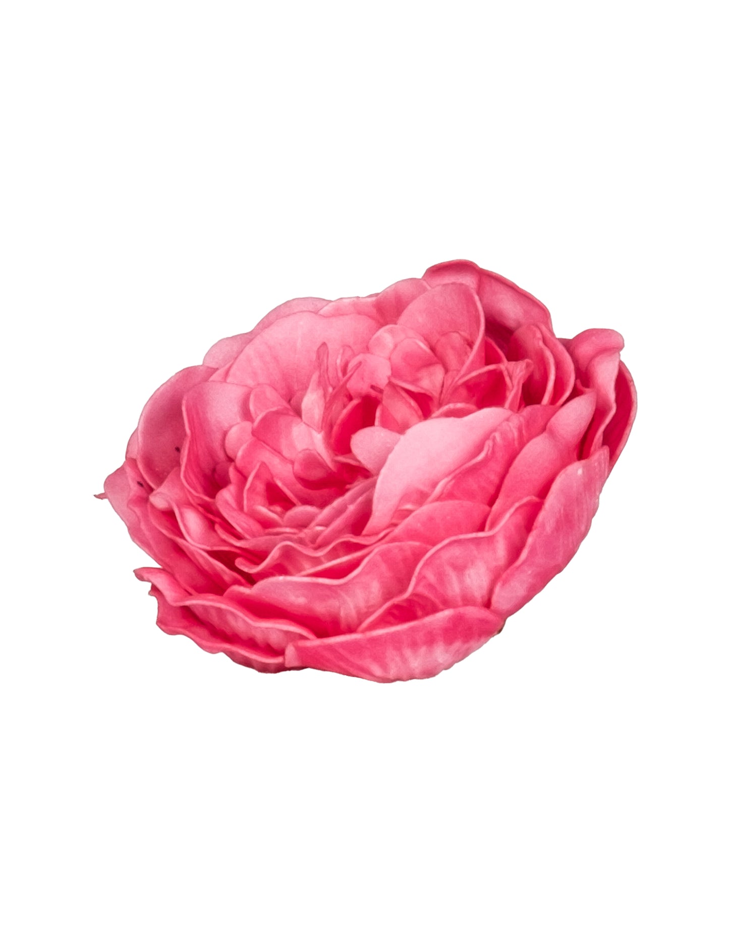 Stará fuchsiově růžová stolní dekorace 12 cm ročník