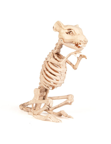 Halloweenská dekorace kostry krysy