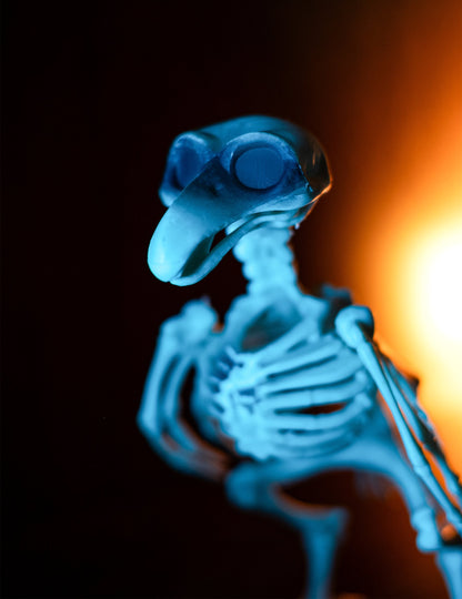 Gros plan sur le crâne et le buste de la décoration squelette de corbeau