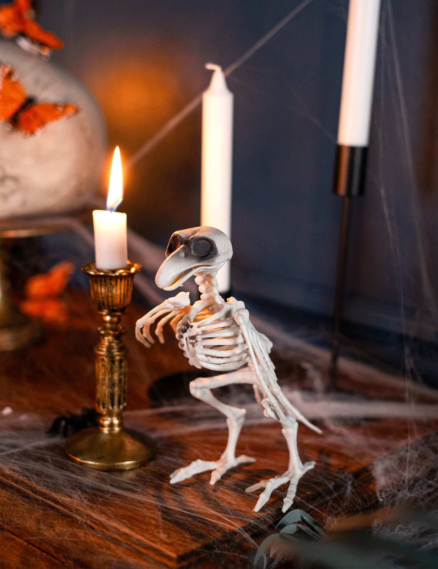 Mise en scène de la décoration squelette de corbeau pour Halloween