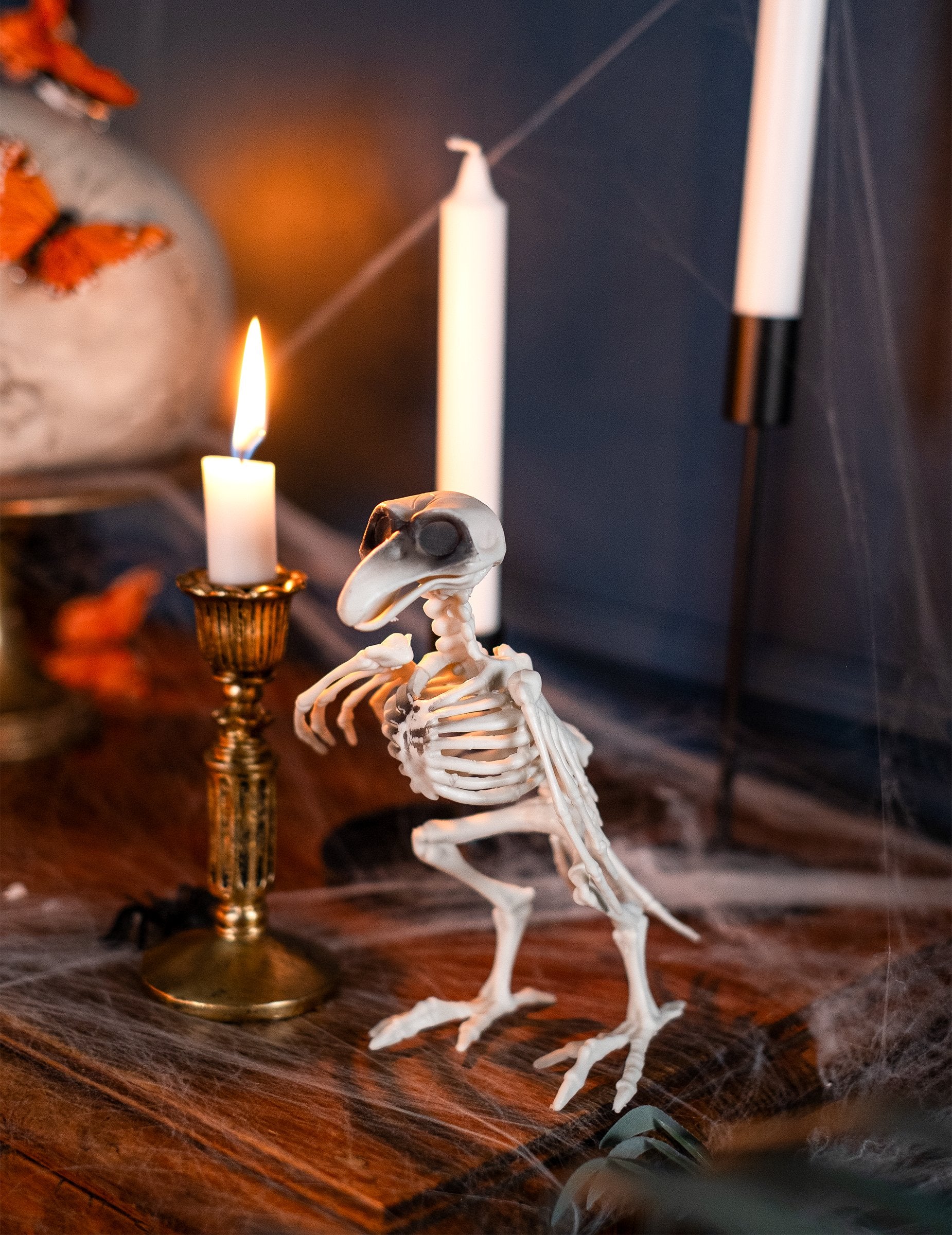 Mise en scène de la décoration squelette de corbeau pour Halloween