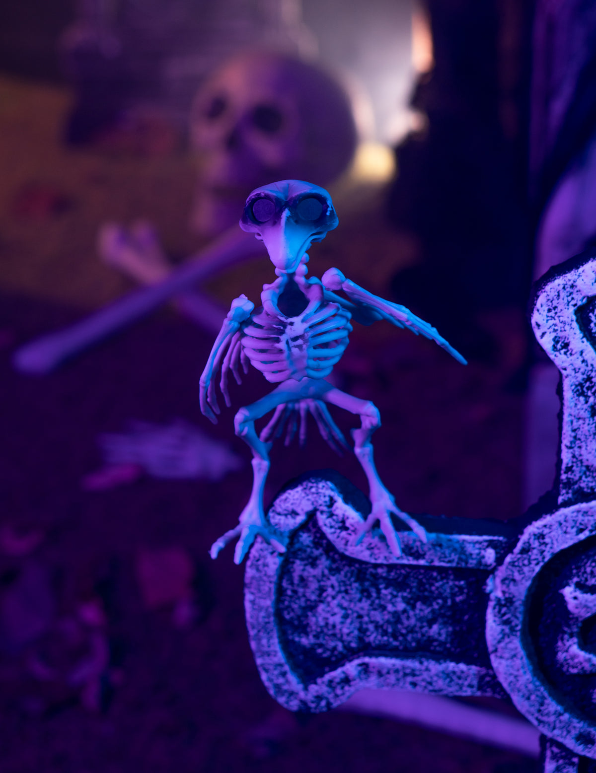 Dekorace havraní kostry 19,5 cm Halloween