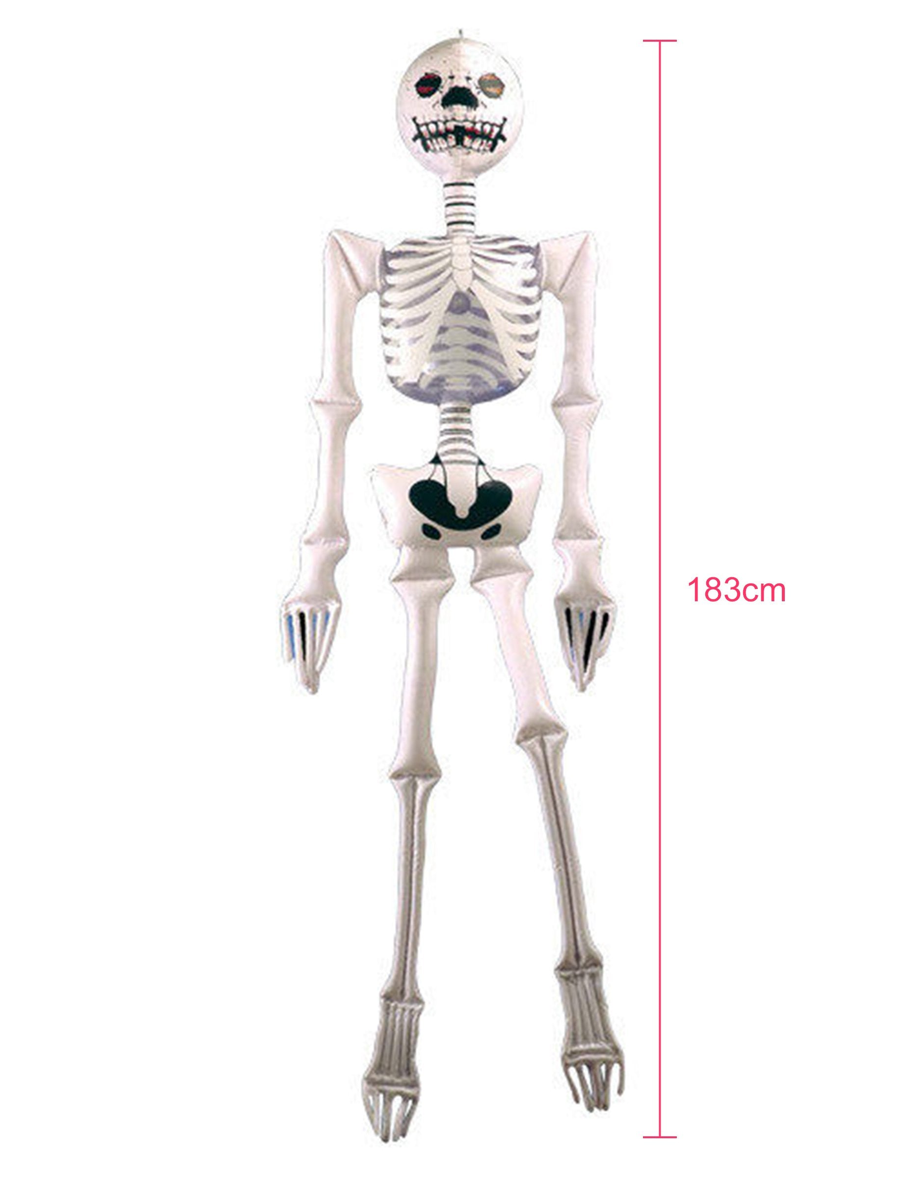 Vue d'ensemble avec dimensions de la décoration squelette gonflable