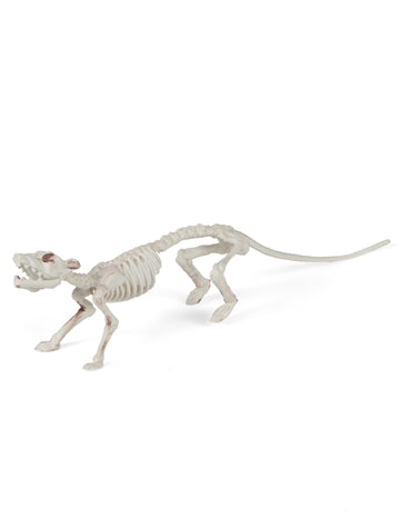 Halloween-Dekoration Rattenskelett 16 x 23 cm