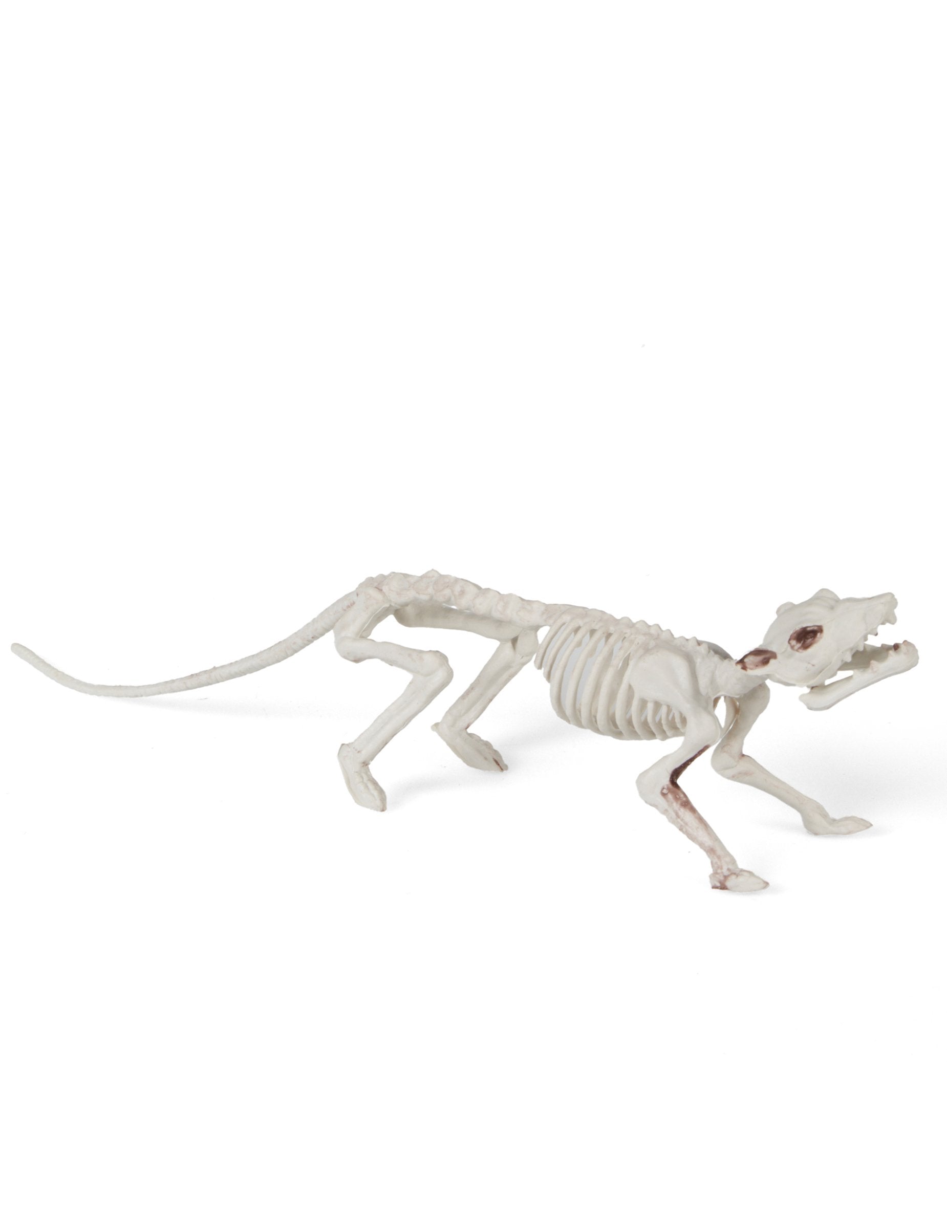 Vue de profil de la décoration squelette rat pour Halloween