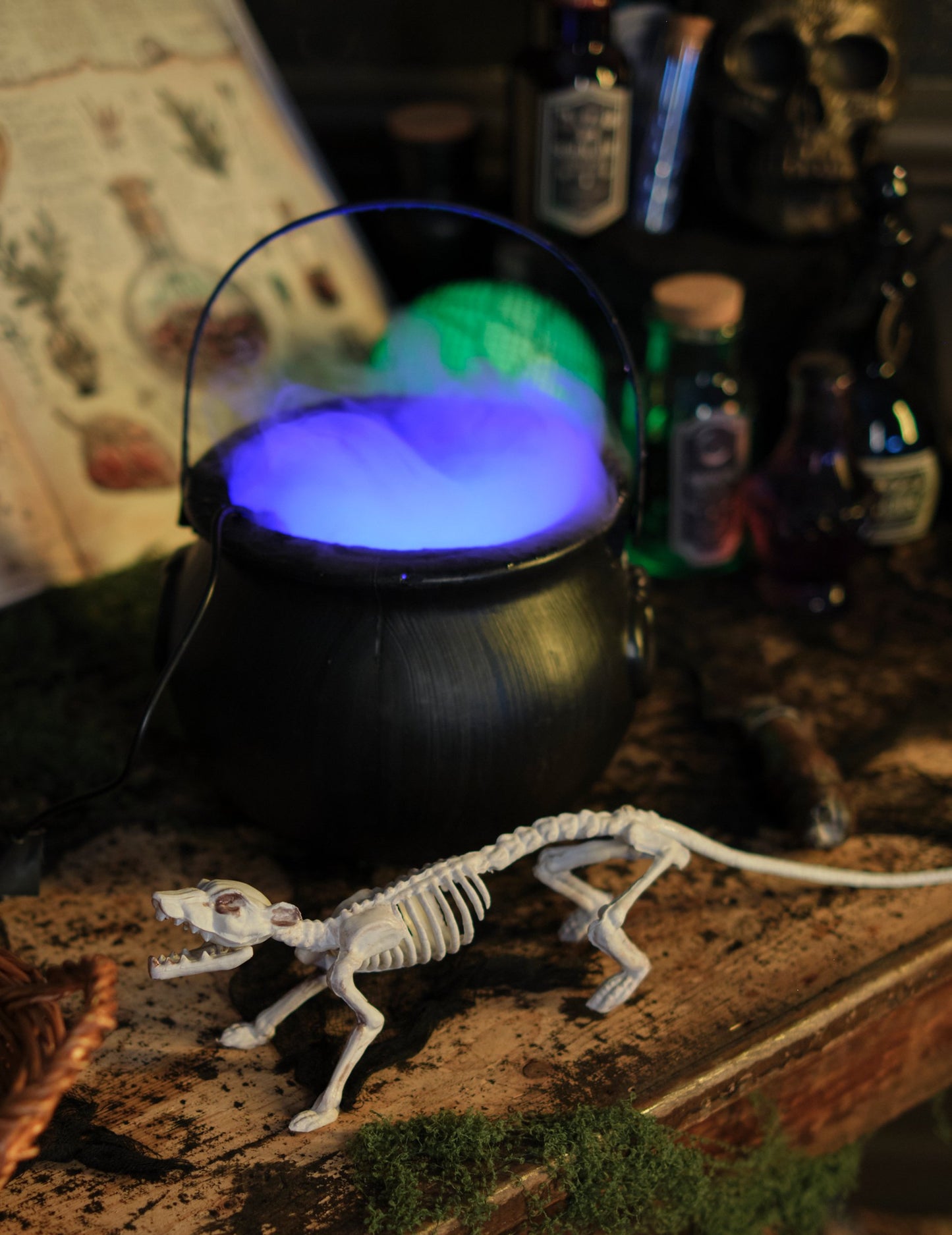 Mise en situation avec chaudron de la décoration squelette rat pour Halloween