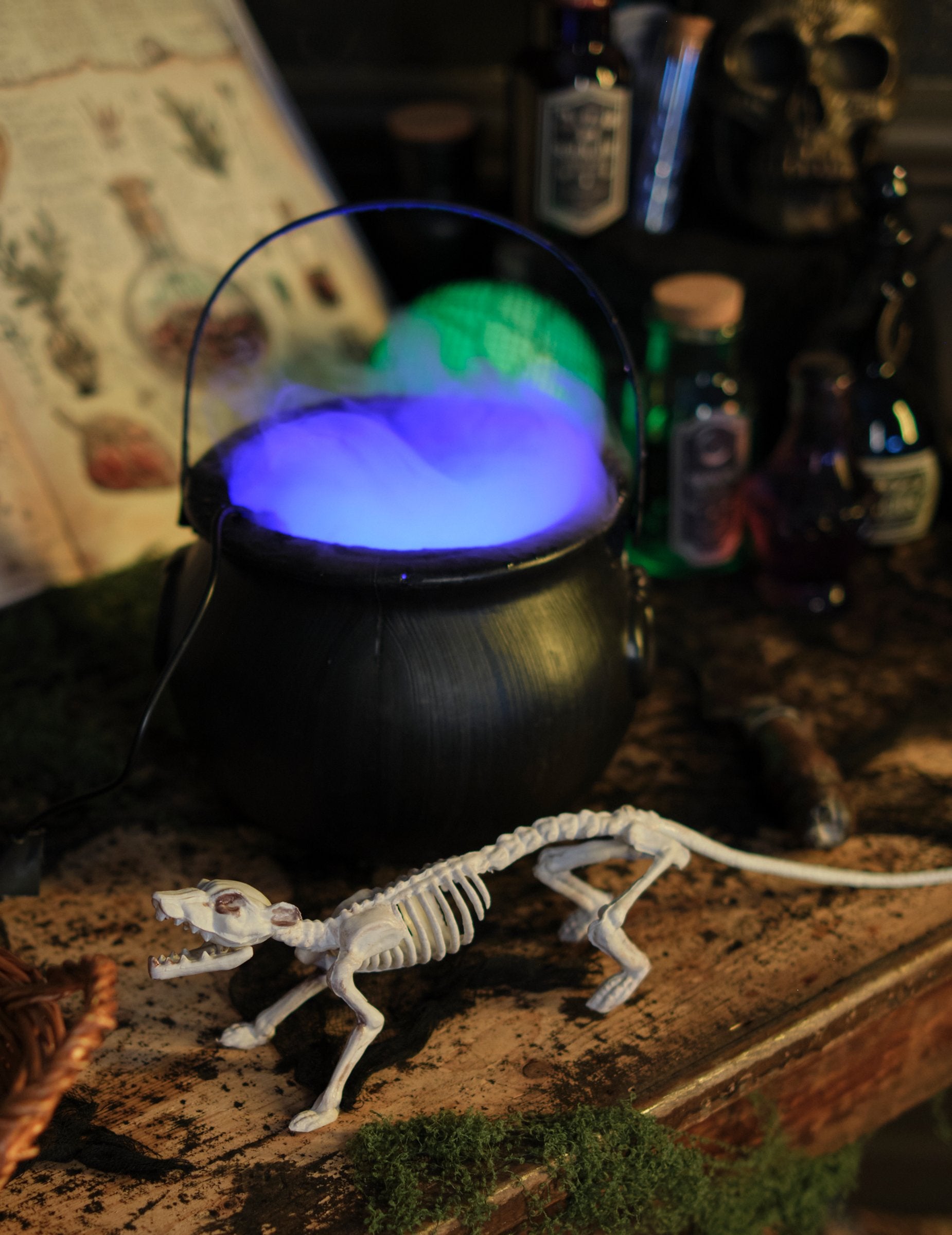 Mise en situation avec chaudron de la décoration squelette rat pour Halloween