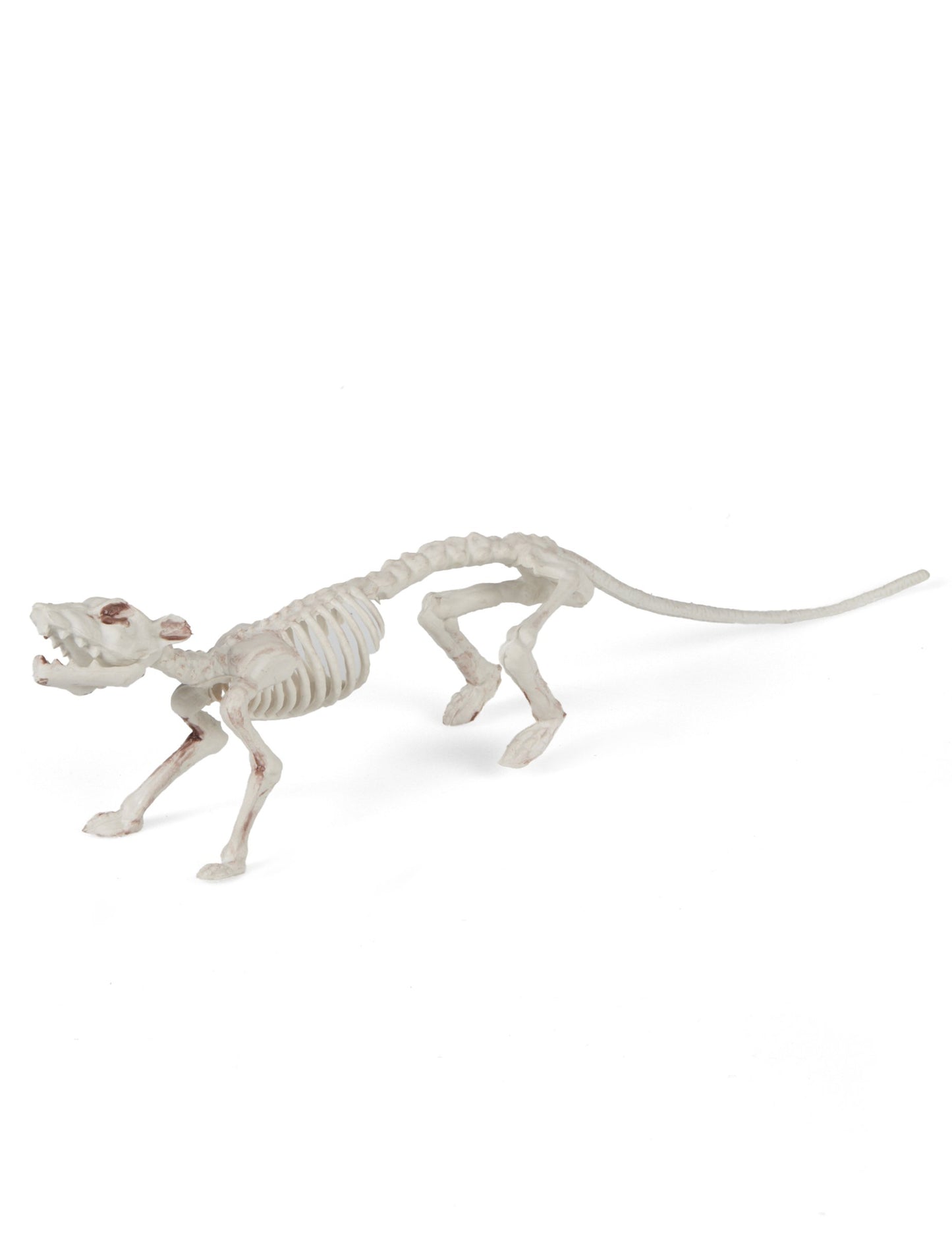 Décoration squelette rat pour Halloween beige aspect os