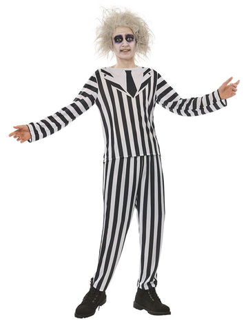 Standardní kostým pro dospělé Beetlejuice
