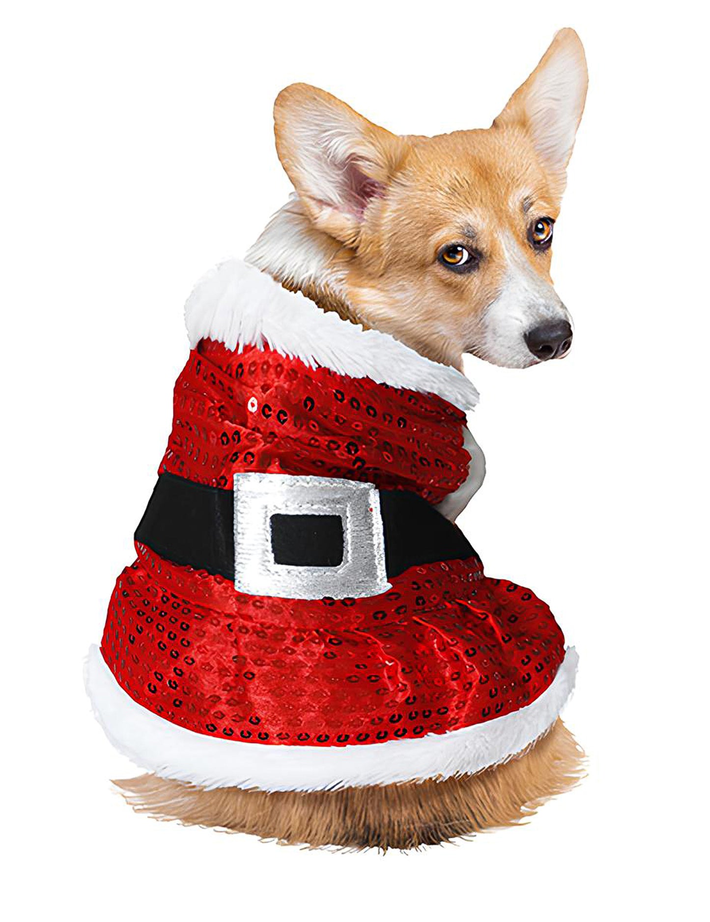 Vánoční kostým psa s flitry