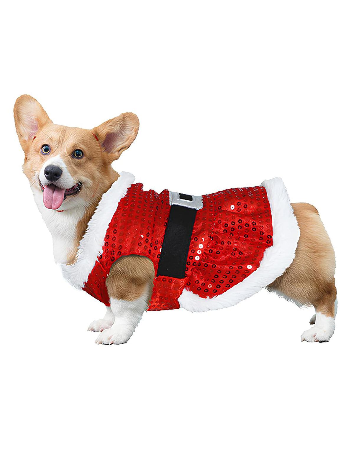 Déguisement de Noël à sequins pour chien rouge et blanc avec ceinture noire