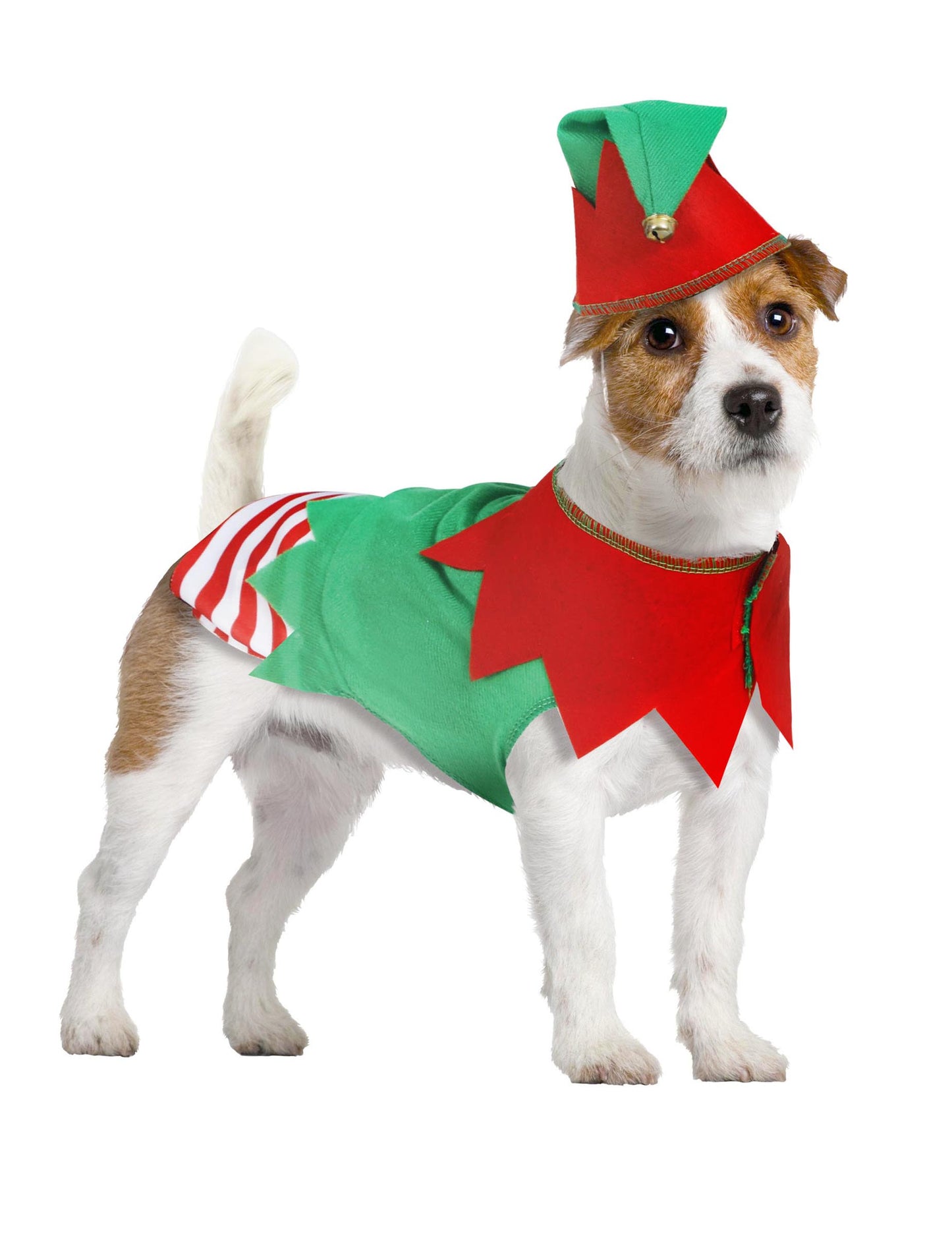 Kostým vánočního elfa pro psy