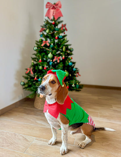 Kostým vánočního elfa pro psy