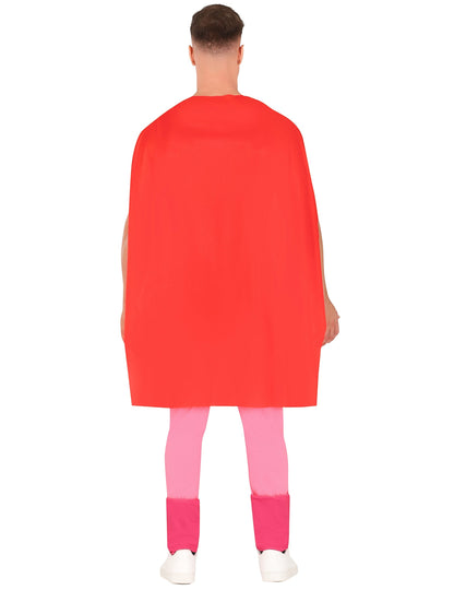 Kostým pro dospělé