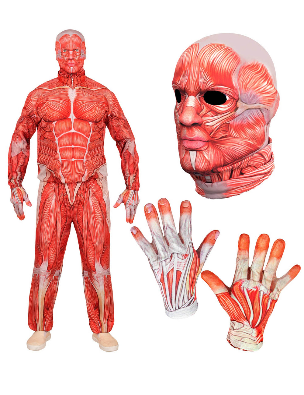 Détails du masque et des gants du déguisement intégral corps humain anatomique