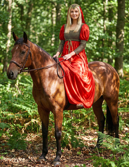 Mittelalterliches Prinzessinnenkostüm für Damen