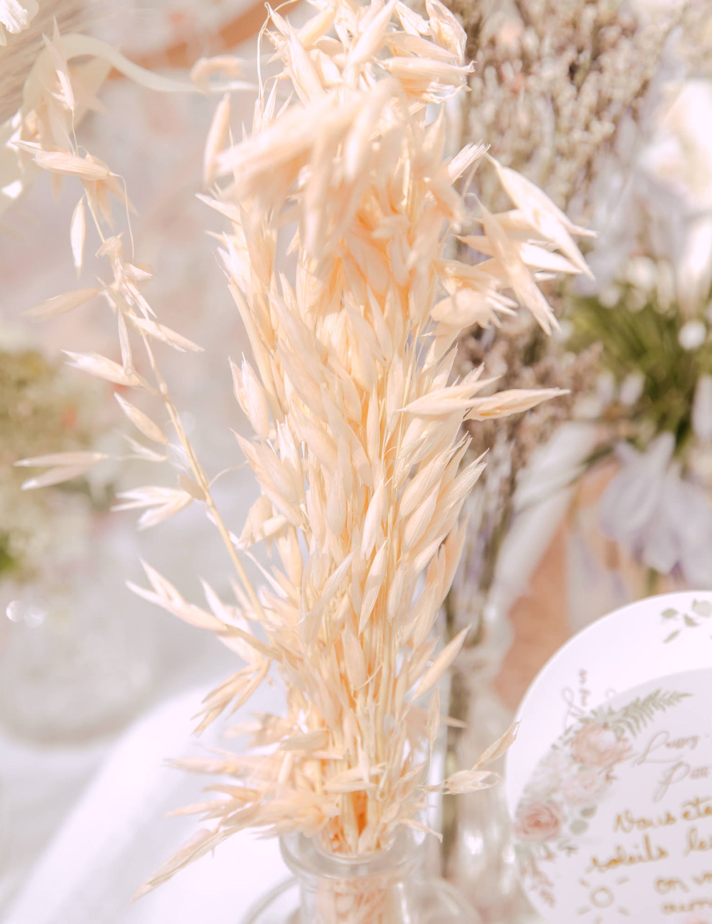 Přírodní sušený ovesný klas 100g 73 cm venkovskou atmosféru