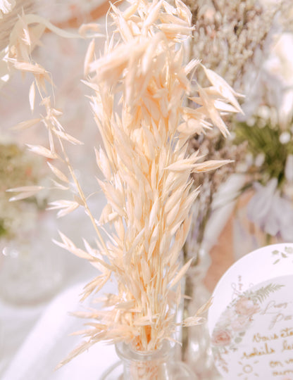 Přírodní sušený ovesný klas 100g 73 cm venkovskou atmosféru