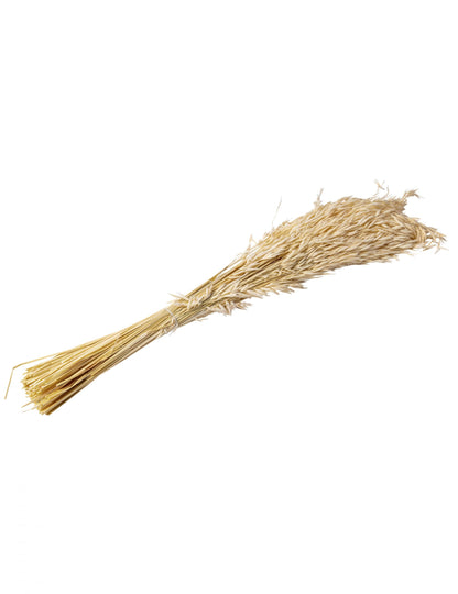Přírodní sušený ovesný klas 100g 73 cm venkovskou atmosféru