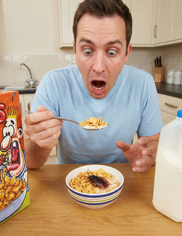 Falešný šváb - žertovné předměty 