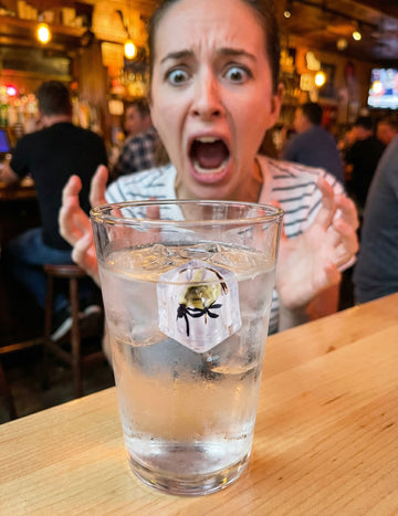 Falešná kostka ledu s mouchou - žertovné předměty 