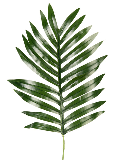 Feuille de palmier phoenix artificielle déco tropicale verte