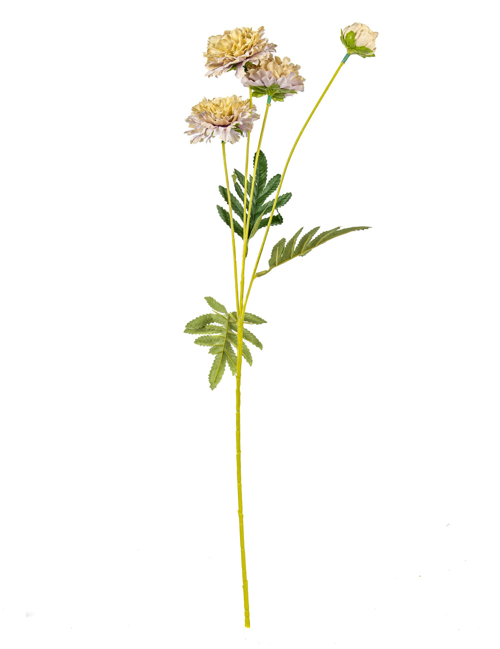 Vue de profil des fleurs de zinnia artificielles pour bouquet
