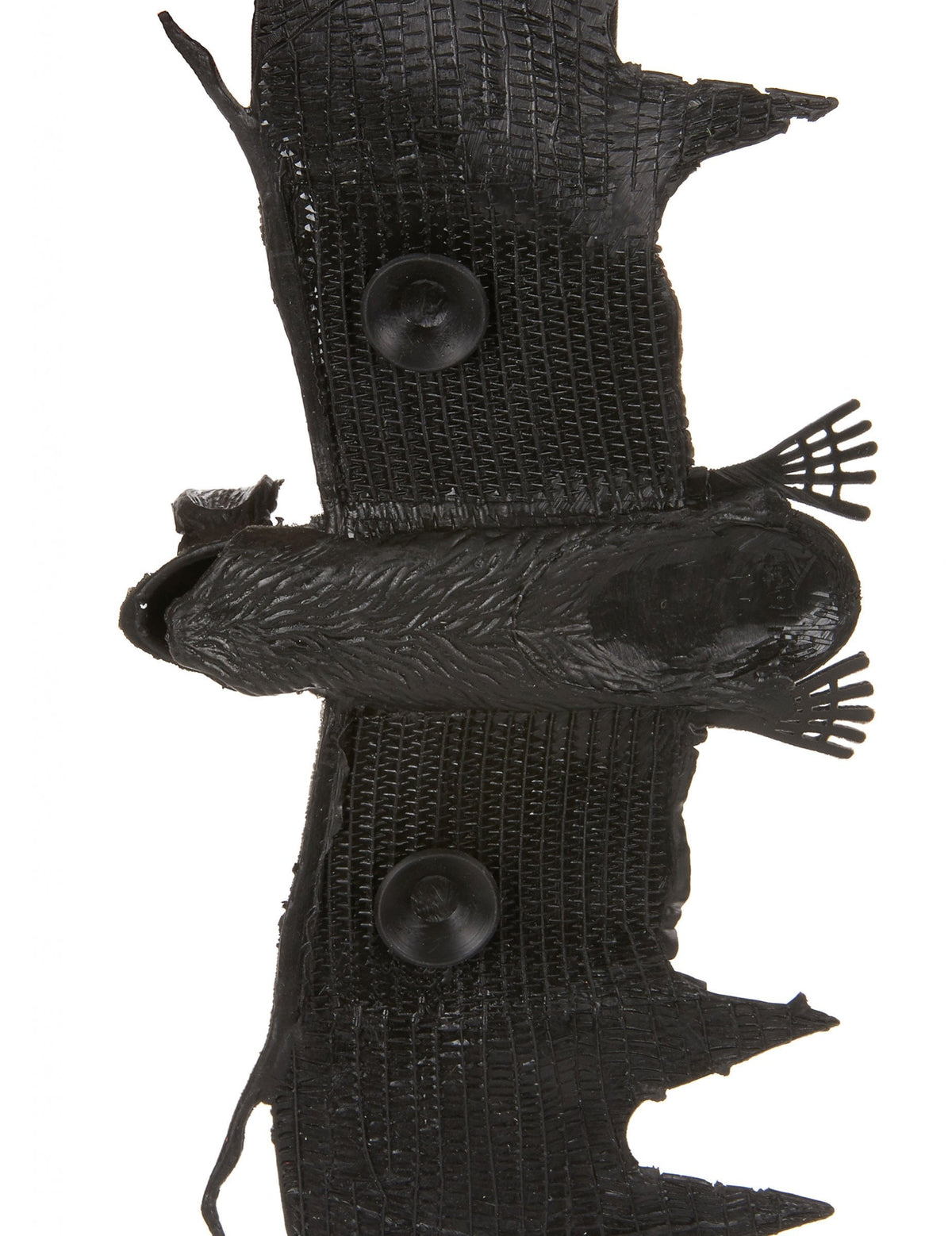 Détail des ventouses de fixation de la chauve-souris à suspendre Halloween