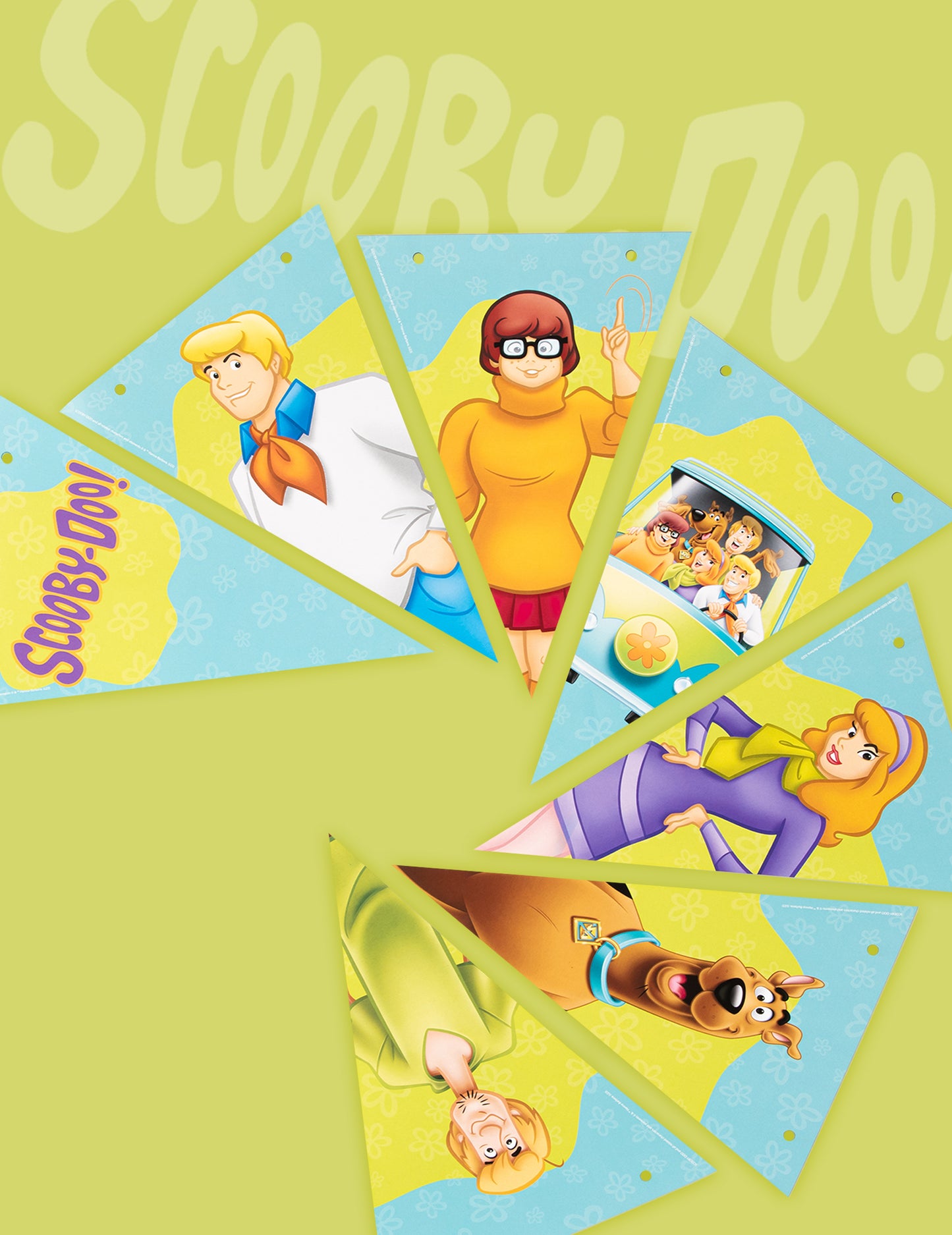 Scooby-doo 2m Pennant Girland