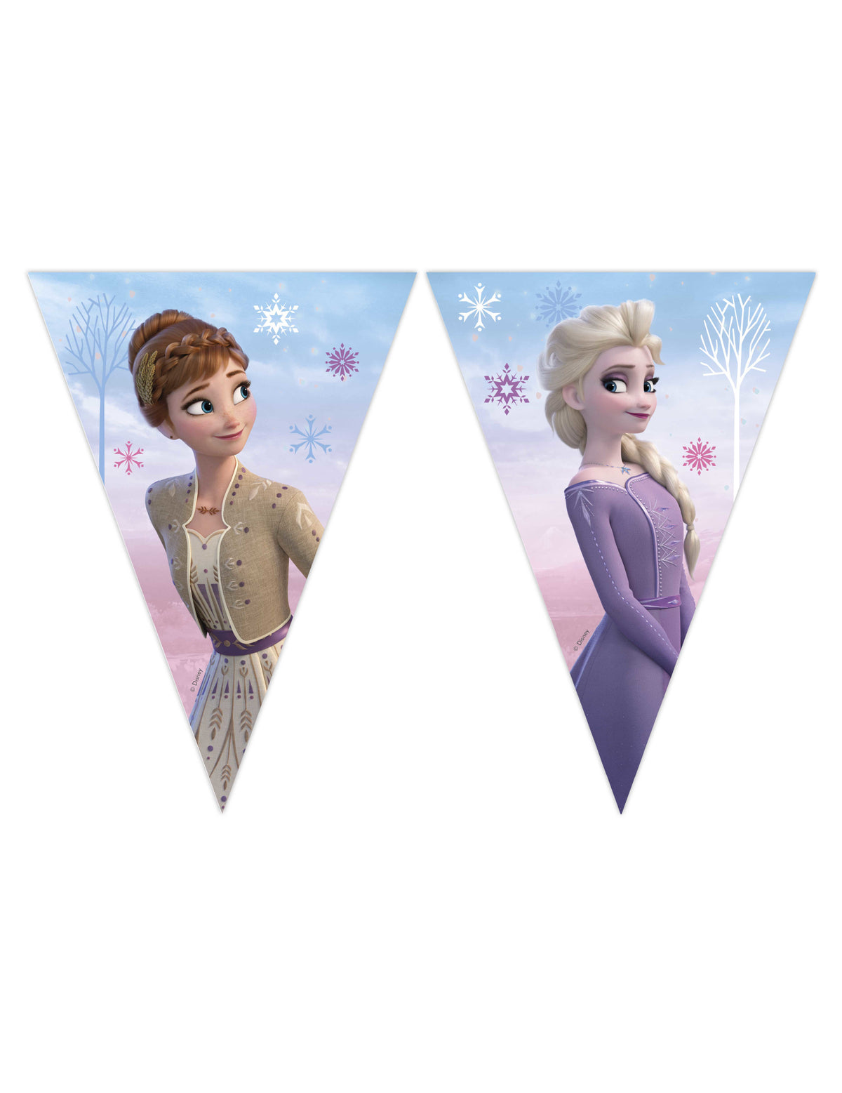 Guirlande fanions en papier La Reine des Neiges pour enfant bleu et violet avec Anna et Elsa
