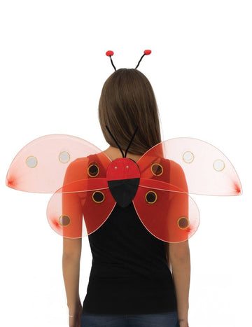 Kit accessoires coccinelle adulte
