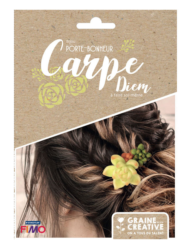Sada šperků pro štěstí se šťavnatými sponkami do vlasů z fimo hmoty