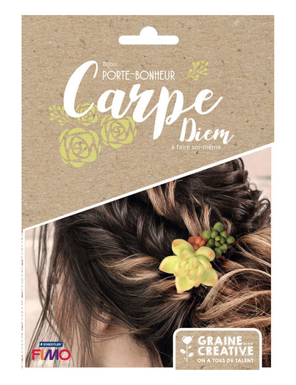 Sada šperků pro štěstí se šťavnatými sponkami do vlasů z fimo hmoty