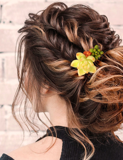 Sada šperků pro štěstí se šťavnatými sponkami do vlasů z fimo hmoty