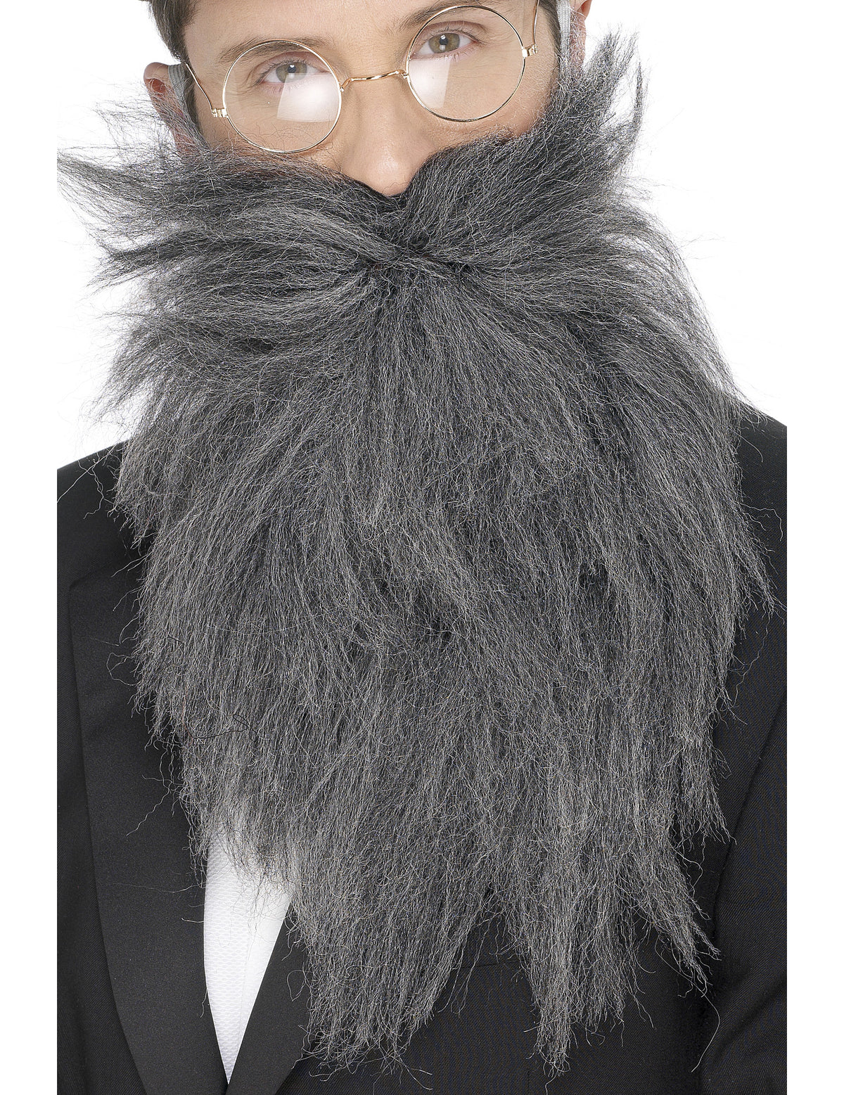 Barbe longue pour homme grise