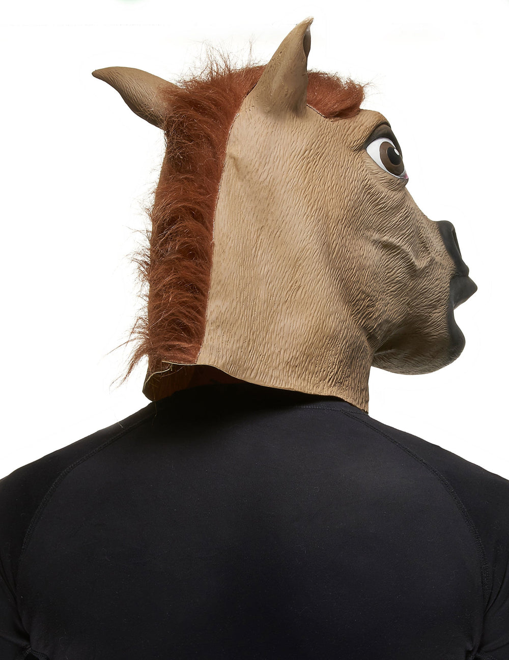 Vue de profil du masque de cheval