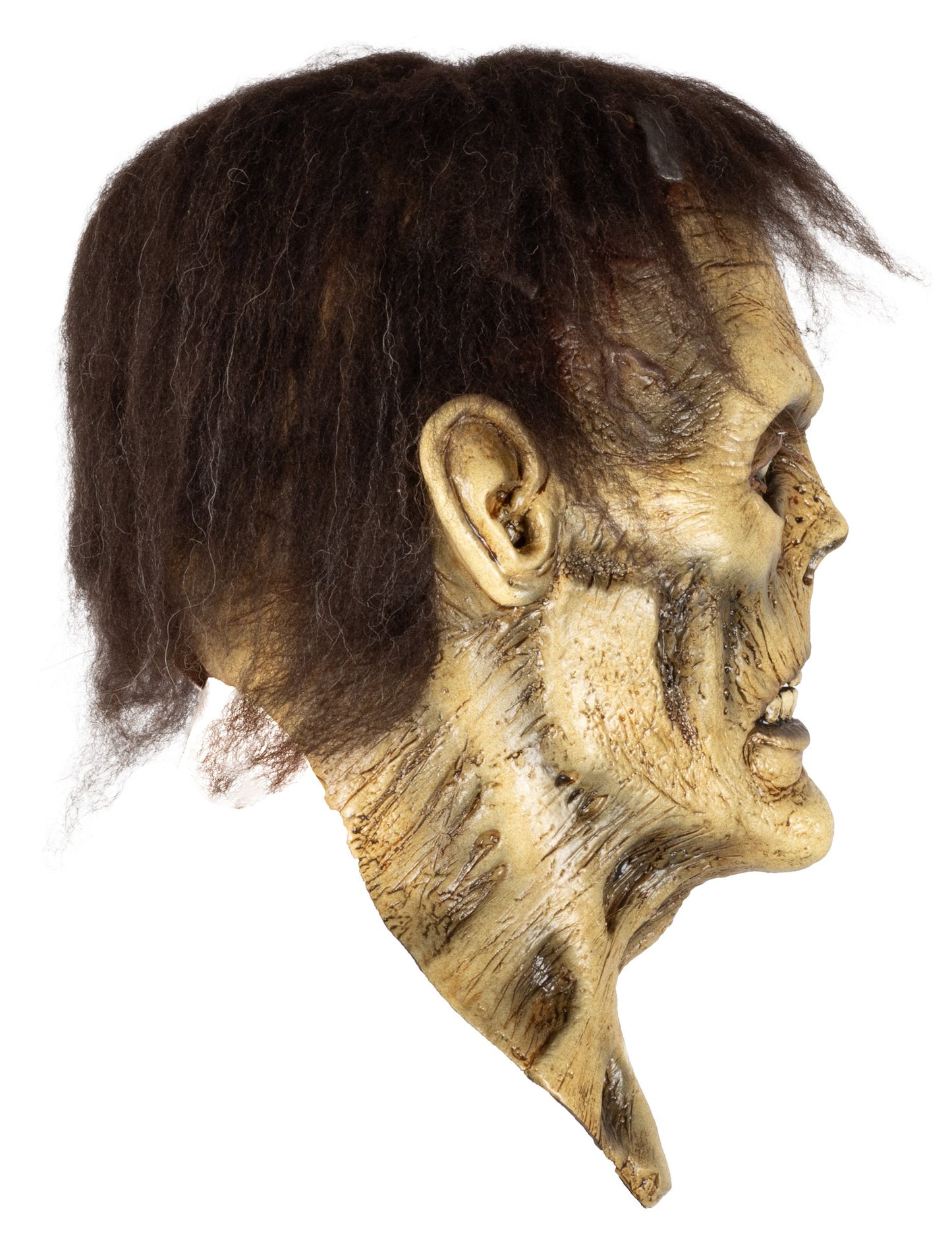 Masque intégral monstre Frankenstein zombie adulte