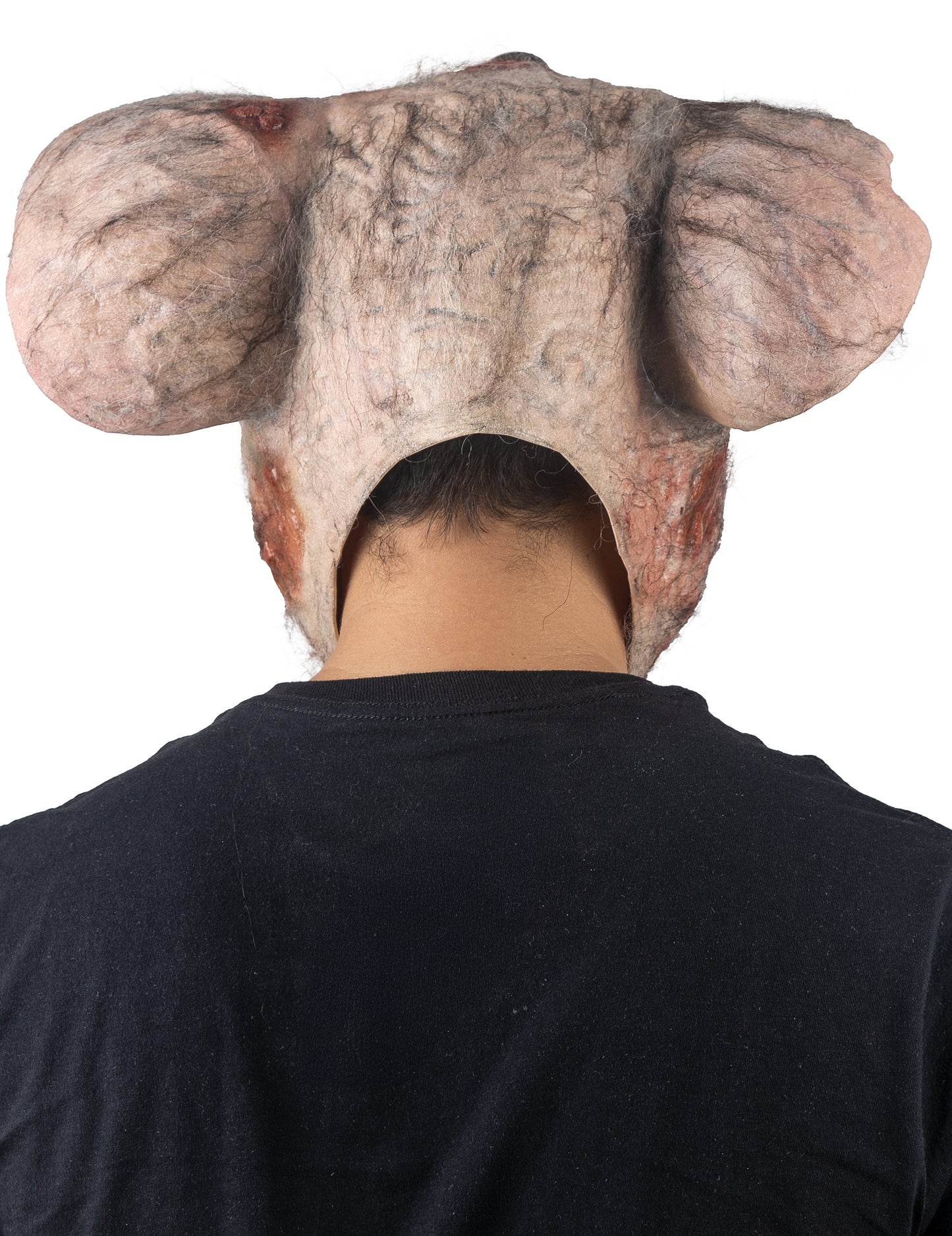 Masque intégral rat de laboratoire adulte