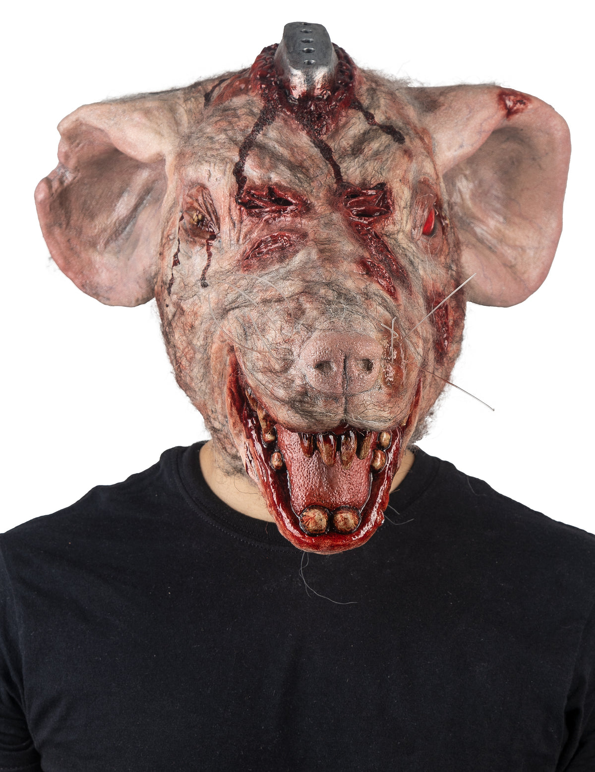 Vue de face du masque intégral rat de laboratoire