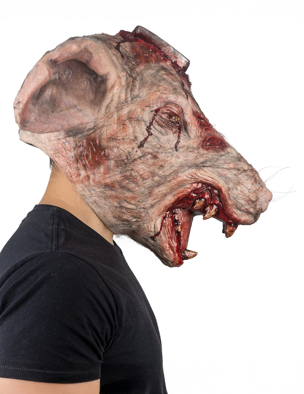 Vue de profil du masque intégral rat de laboratoire
